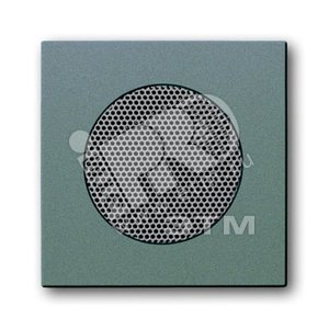 Центральная накладка громкоговорителя FM-радио, solo/future, метеор/серый металлик - ABB