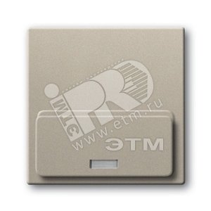 ABB Basic 55 Шампань Плата центральная (накладка)для механизма док-станции Busch-iDock 8218 U | 8200-0-0159 | ABB - ABB
