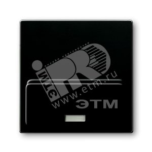 ABB Basic 55 Шато (чёрный) Плата центральная для мех док-станции Busch-iDock 8218 U | 8200-0-0162 | ABB - ABB