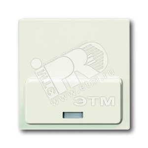 BASIC 55 Плата центральная (накладка) для механизма док-станции Busch-iDock 8218U chalet-white - ABB