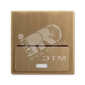 Накладка (центральная плата) для механизма док-станции Busch-iDock 8218 U, серия Династия, Латунь ан