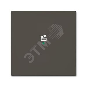 SRS-1-95 Клавиша одинарная free@home, сцена, Basic 55, цвет chateau-black | 6220-0-0689 | 2CKA006220A0689 | ABB 2