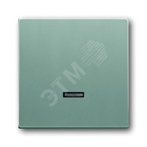 Клав. для светорег. 6550 U-10x, 6560 U-101, 6593 U, реле 6401 U-10x,6402 U, серия solo/future, цвет серебр.-алюм. | 6599-0-2887  | 2CKA006599A2887 | A 2