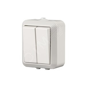 Выключатель 2-клавишный, 1-полюсный, 16А/230В (схема 2), серия Jussi, белый, поверхностный монтаж, IP44 | 1065SW  | 2TKA000165G1 | ABB 2