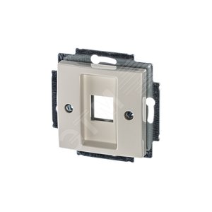 ABB Basic 55 Сл. кость Плата центральная для коммуникац розеток 0210, 0211 и 0219 | 1753-0-0211  | 2CKA001753A0211 | ABB - фото 2