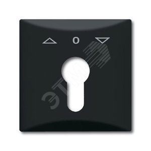 Плата центральная (накладка) с поворотной ручкой, IP44, серия Allwetter 44, цвет антрацит | 1710-0-1894  | 2CKA001710A1894 | ABB 2