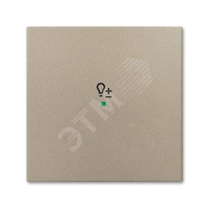 SRD-1-93 Клавиша одинарная free@home, светорегулятор, Basic 55, цвет шампань | 6220-0-0656  | 2CKA006220A0656 | ABB 2