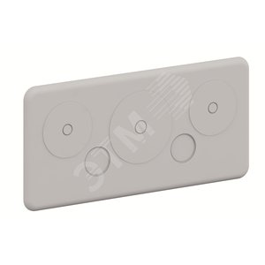 CZF1 Мембранный фланец 2 x 25.5 мм, 2 x 47.5 мм, 1 x 62 мм | ZB40 | 2CPX052435R9999 | ABB - фото 2