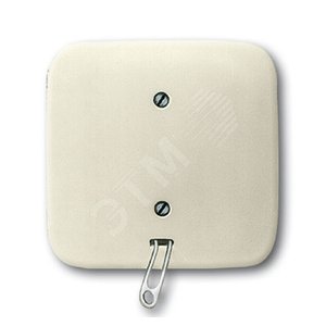 Переключатель со шнурком, для скрытого монтажа, серия Busch-Duro 2000 SI, цвет слоновая кость | 1315-0-0415  | 2CKA001315A0415 | ABB 2