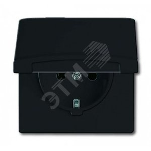 Розетка 20 EUGK-35-101, с крышкой, Allwetter44, IP44, черный/антрацит, уплотн. кольцо в комплекте, 16А, 250В. | 2064-0-0290 | 2CKA002064A0290 | ABB 2