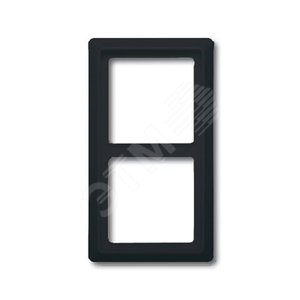 Рамка 2-постовая, серия Allwetter 44, цвет антрацит | 1730-0-0233 | 2CKA001730A0233 | ABB 2
