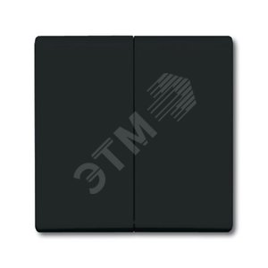 Клавиша для механизма 2-клавишного выключателя/переключателя/кнопки (IP44), серия Allwetter 44, цвет антрацит | 1731-0-1676 | 2CKA001731A1676 | ABB 2