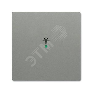 Клавиша одинарная free@home, освещение, future, цвет meteor/серый металлик|6220-0-0551| ABB