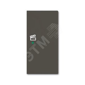 SRS-2-R-95 Клавиша двойная правая free@home, сцена, Basic 55, цвет ch?teau-black - ABB