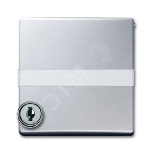 Плата промежуточная с крышкой для центральных плат , с типовым зам., IP44, серия Allwetter 44, цвет серебр.-алюм. | 1710-0-3792  | 2CKA001710A3792 | A 2