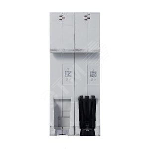 Выключатель автоматический двухполюсный SH202L 40А C 4,5кА (SH202L C40) | 2CDS242001R0404 | ABB - фото 3