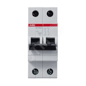 Выключатель автоматический двухполюсный SH202L 40А C 4,5кА (SH202L C40) | 2CDS242001R0404 | ABB - фото 5