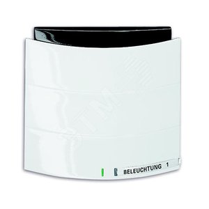 Triton Сенсор одно/двухклавишный с ИК-приемником альпийский белый (6320/10-24G-500) 2