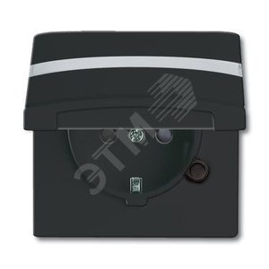 Allwetter44 Розетка SCHUKO 20 EUGKBN-35-101 c полем для надписи с крышкой с защитными шторками IP44 черный/антрацит уплотнительное кольцо в комплекте 16А 250В. (20 EUGKBN-35-101) - фото 2