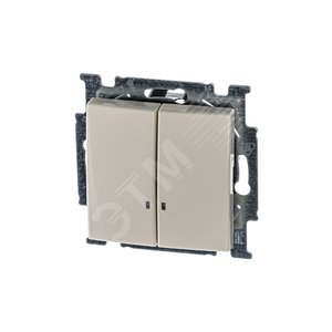 ABB Basic 55 Сл. кость Выключатель 2-клавишный с подсветкой | 1012-0-2157 | 2CKA001012A2157 | ABB - фото 2