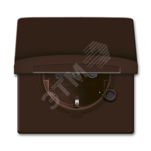 Розетка SCHUKO, 20 EUGKB-31-101, с крышкой, с защитными шторками, Allwetter44, IP44, коричневый, 16А, 250В. | 2064-0-0291 | 2CKA002064A0291 | ABB - фото 2