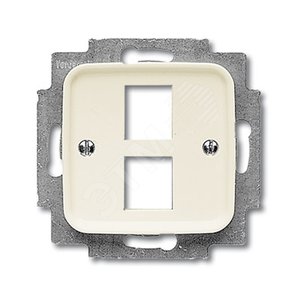Плата центральная (накладка) для 2-х разъёмов Modular Jack, серия Busch-Duro 2000 SI, цвет слоновая кость | 1753-0-3957 | 2CKA001753A3957 | ABB 2