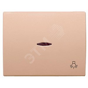 Накладка для механизма карточного выключателя с линзой подсветки и маркировкой, серия OLAS, цвет титан