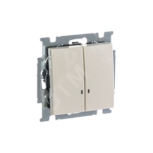 ABB Basic 55 Сл. кость Выключатель 2-клавишный с подсветкой | 1012-0-2157 | 2CKA001012A2157 | ABB - фото 3