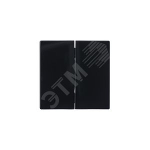 Клавиша для механизма 2-клавишных выключателей/переключателей/кнопок, серия solo/future, цвет антрацит | 1751-0-2930  | 2CKA001751A2930 | ABB 5