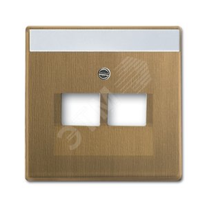 Накладкад.2-постовой телекоммуникац.роз.0214,0215,0217,0218,с полем д.надписи,сер.Династия Латунь античная | 1710-0-4083  | 2CKA001710A4083 | ABB 2