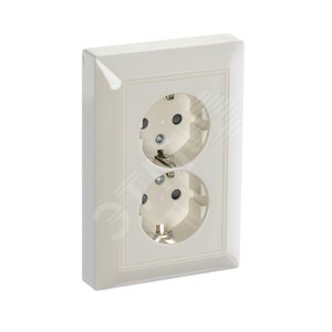 ABB Basic 55 Сл. кость Розетка 2-ая с/з моноблок, с защитными шторками | 2021-0-0379  | 2CKA002021A0379 | ABB - фото 4
