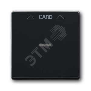 Плата центральная (накладка) для механизма карточного выключателя 2025 U, серия solo/future, цвет антрацит/чёрный | 1710-0-3639 | 2CKA001710A3639 | A 2