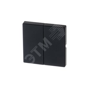 Клавиша для механизма 2-клавишных выключателей/переключателей/кнопок, серия solo/future, цвет чёрный бархат | 1751-0-3038  | 2CKA001751A3038 | ABB 2