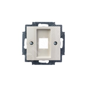 ABB Basic 55 Сл. кость Плата центральная для коммуникац розеток 0210, 0211 и 0219 | 1753-0-0211  | 2CKA001753A0211 | ABB - фото 5