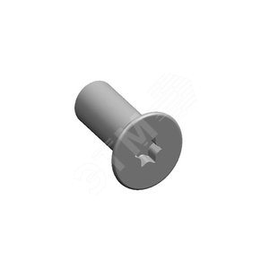 Винт М6х12 (Torx 30) (упак 20 шт) | RZ13P20 | ABB 2