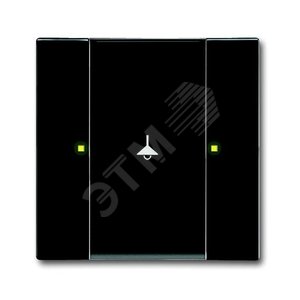 6125/02-81-500 Сенсор 1/2-кл. многофункциональный, антарцит | 6115-0-0216  | 2CKA006115A0216 | ABB 2