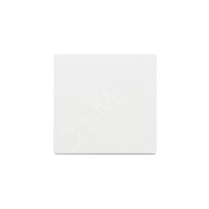 Клавиша для 1-клавишных выключателей/перелючателей/кнопок, глухая, Impressivo, белый | 1786-84  | 2TKA000543G1 | ABB 2