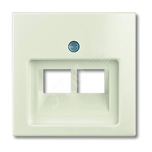 ABB Basic 55 Сл. кость Накладка 2-ой ТЛФ/комп розетки наклонной | 1753-0-0097  | 2CKA001753A0097 | ABB - фото 2