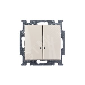 ABB Basic 55 Сл. кость Выключатель 2-клавишный с подсветкой | 1012-0-2157 | 2CKA001012A2157 | ABB - фото 5