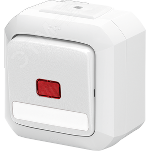 Выключатель одноклавишный ABB Variant+ IP54 двухполюсный с контрольной подсветкой белый и полем для надписи (3558N-C02512 B) - ABB