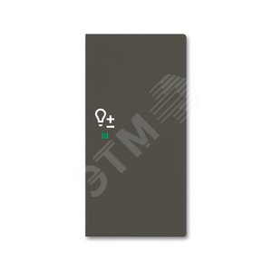 SRD-2-R-95 Клавиша двойная правая free@home, светорегулятор, Basic 55, цвет chateau-black | 6220-0-0696 | 2CKA006220A0696 | ABB - фото 2
