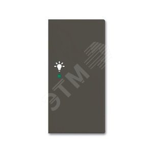 SRL-2-R-95 Клавиша двойная правая free@home, освещение, Basic 55, цвет chateau-black | 6220-0-0697 | 2CKA006220A0697 | ABB - фото 2