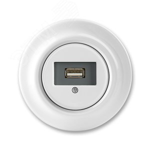 Розетка USB ABB Decento белый фарфор (5014K-C00420) - ABB