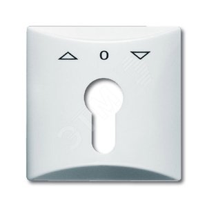Плата центральная (накладка) с поворотной ручкой, IP44, серия Allwetter 44, цвет альпийский белый | 1710-0-1829  | 2CKA001710A1829 | ABB - фото 2