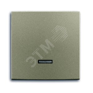 Клавиша для светорегулятора 6550 U-10x, 6560 U-101, 6593 U, реле 6401 U-10x, 6402 U, серия Basic 55, цвет шампань (6543-93-507) - фото 2