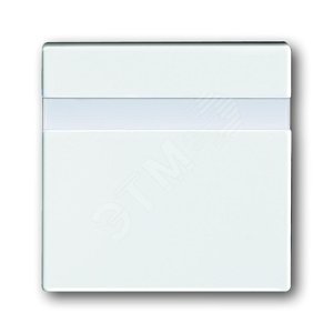 ABB Basic 55 Сл. кость Детектор движения (накладка к комфортному выключателю 6815 U, 6816 U) | 6800-0-2487  | 2CKA006800A2487 | ABB - фото 2