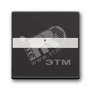 Клав. с полем для надписи, со световодом, для выкл./перекл./кнопок, серия solo/future, цвет антрацит | 1731-0-1552  | 2CKA001731A1552 | ABB