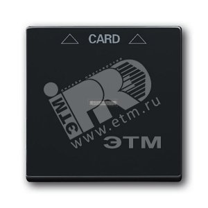 Плата центральная (накладка) для механизма карточного выключателя 2025 U, серия solo/future, цвет антрацит/чёрный | 1710-0-3639 | 2CKA001710A3639 | A