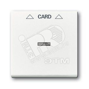 Плата центральная (накладка) для мех. карточного выкл. 2025 U, серия solo/future, цвет davos/альпийский белый | 1710-0-3641  | 2CKA001710A3641 | ABB