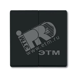 Клавиша для механизма 2-клавишного выключателя/переключателя/кнопки (IP44), серия Allwetter 44, цвет антрацит | 1731-0-1676 | 2CKA001731A1676 | ABB